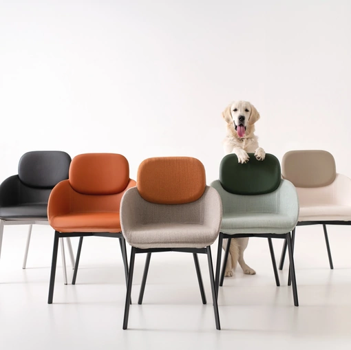 Sedia Tata Poltroncina di Pointhouse