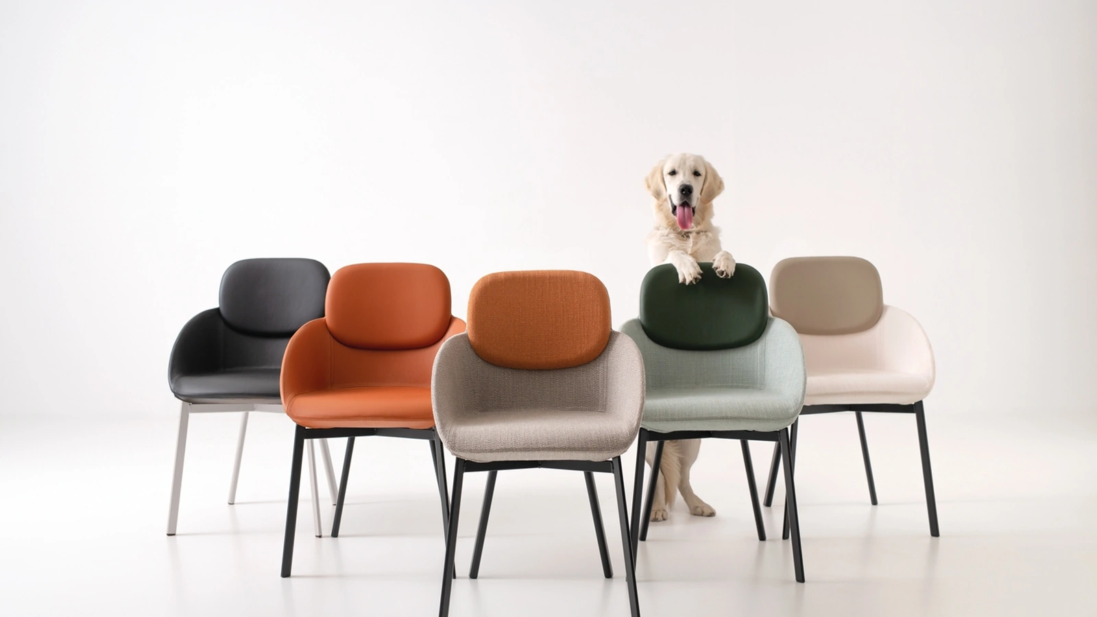 Sedia Tata Poltroncina di Pointhouse