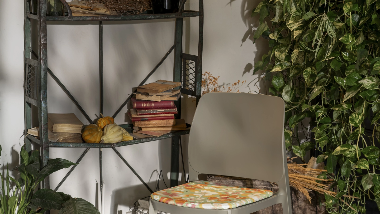 Sedia Tipa Ika Jane in polipropilene di Pointhouse